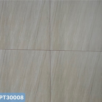 PT – 30008
