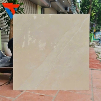 gạch 100cm x 100cm
