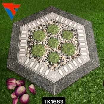 gạch lục giác 500mm