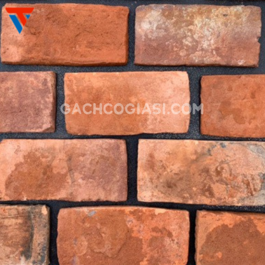 MẶT BÌA NGOÀI  MIỀN TÂY ( 10x19cm )