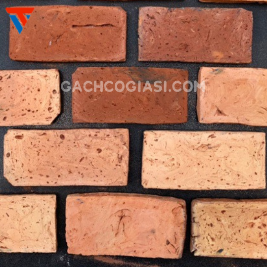 MẶT RUỘT TRONG MIỀN TÂY ( 10x19cm )