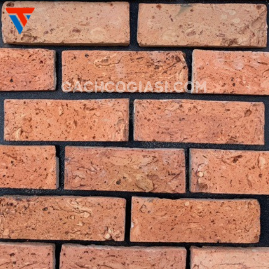MẶT RUỘT TRONG SG ( 7,5X20,21cm )