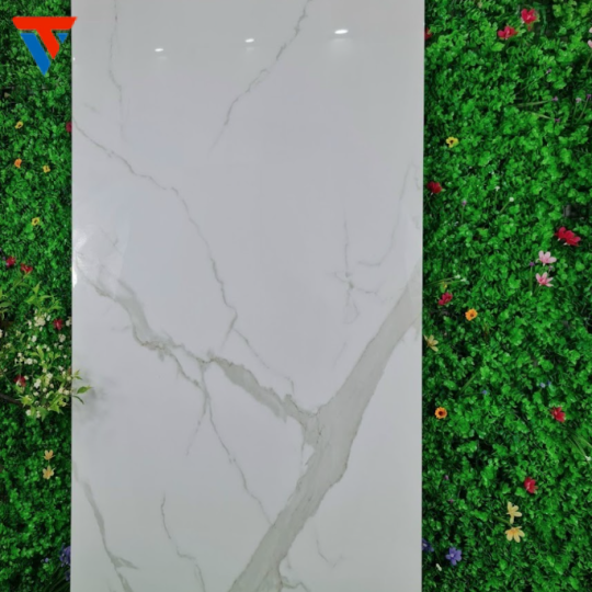 gạch nhập khẩu a1