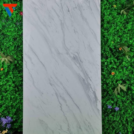 gạch 600 X 1200 v