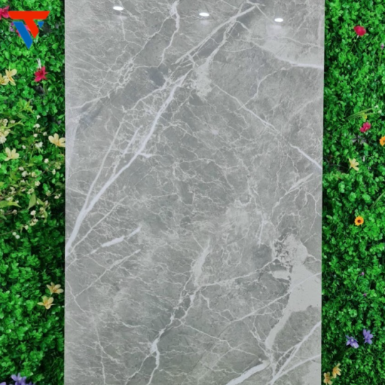 gạch 600 X 1200 g