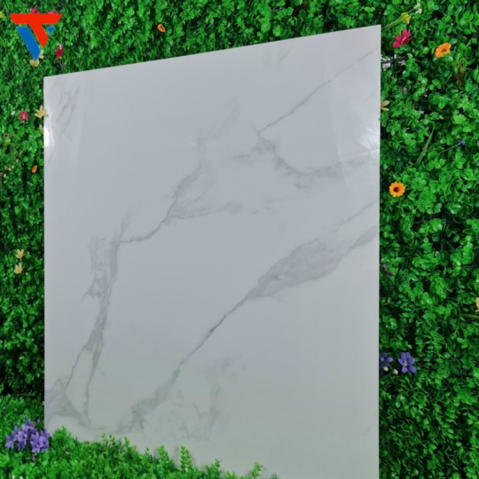 gạch 800 X 800 3