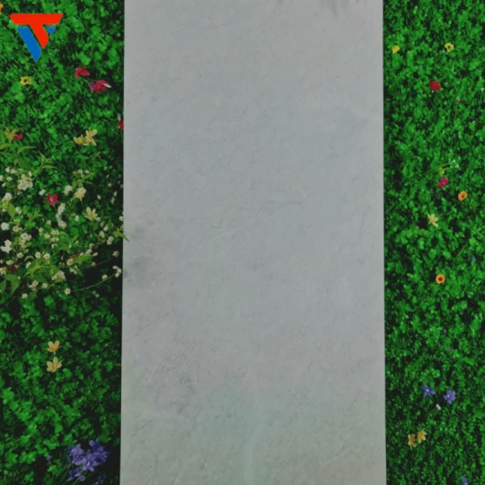 gạch 60 X 120 q