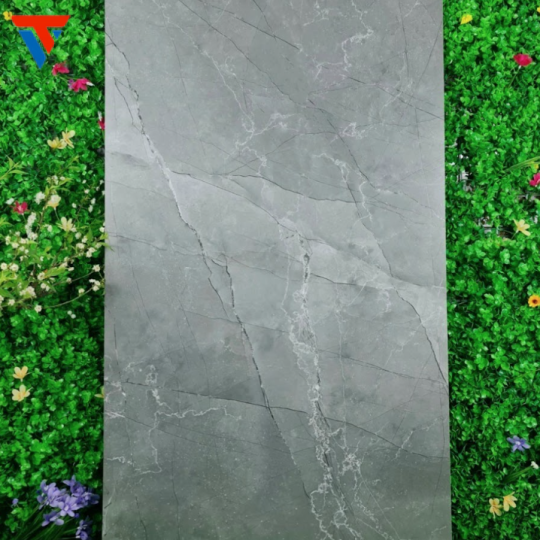 gạch 60 X 120 s