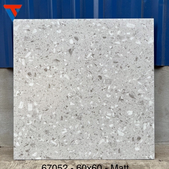 Gạch Trung Quốc DS 67028