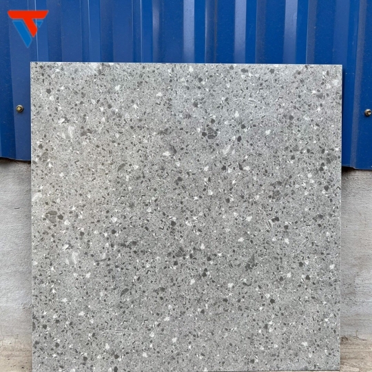 Gạch Trung Quốc DS 67058
