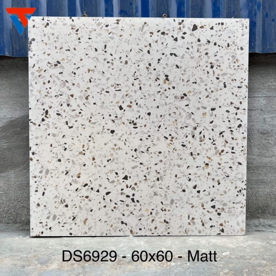 Gạch Trung Quốc DS 6929