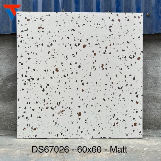 Gạch Trung Quốc  DS 67026