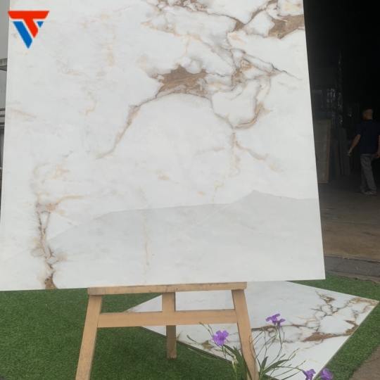 Gạch nhập khẩu ấn men bóng VA01