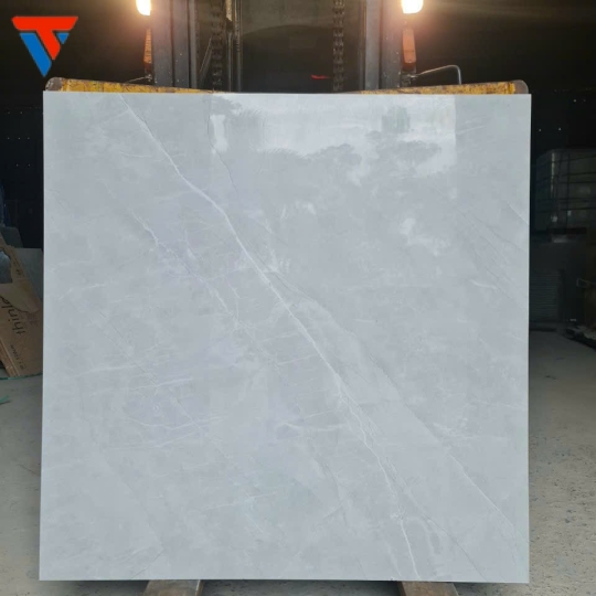 Gạch ấn độ màu nghi men bóng