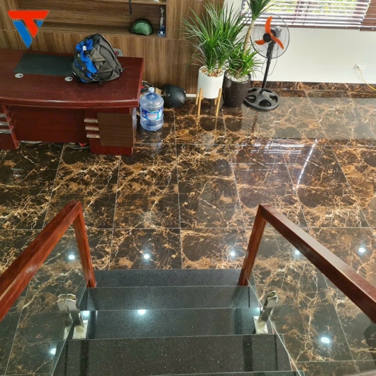 Gạch nhập khẩu ấn độ  Calos Emprador 