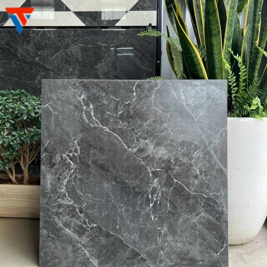Gạch Việt Nam AMM 66004