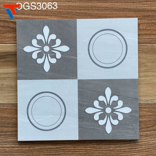 DGS – 3063