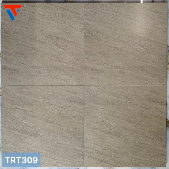 TRT – 309