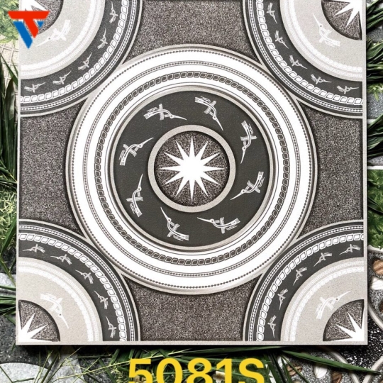 5081 S