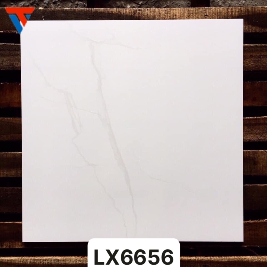 LX 6656