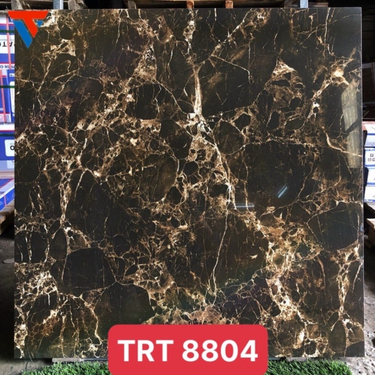 TRT 8804