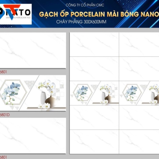 PT 36801