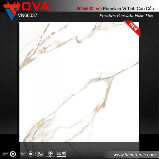 VN 66037