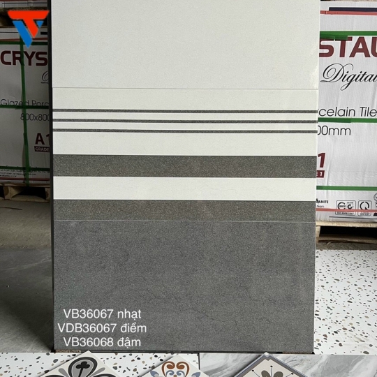 VB36067