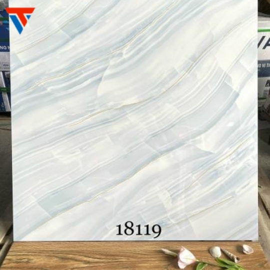 TK 18119