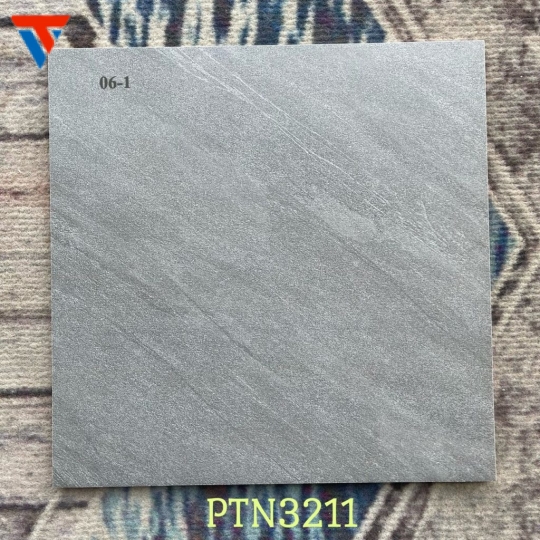 PTN 3211