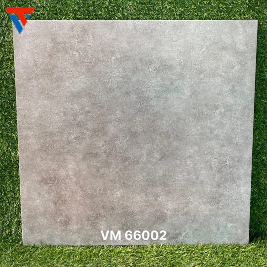 VM 66002