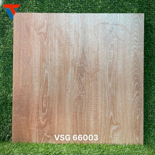 VSG 66003