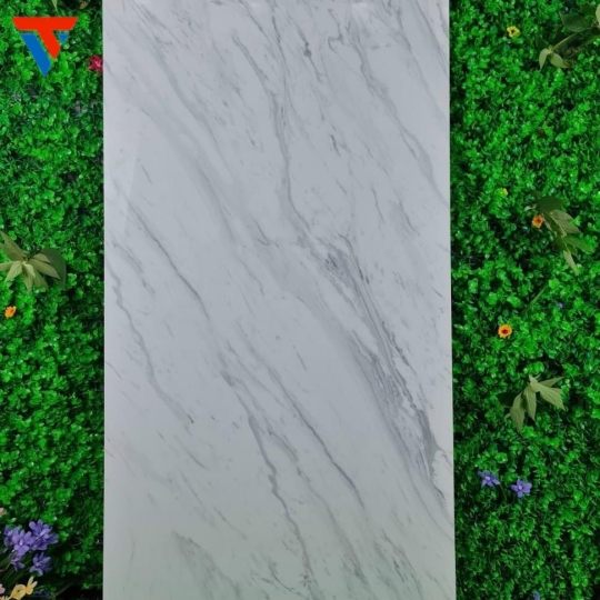 Gạch Nhập Khẩu số 1