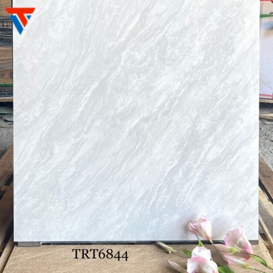 TRT 6844