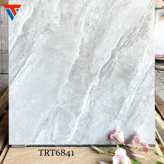 TRT 6841