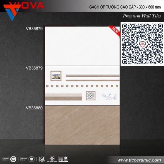 VB36879