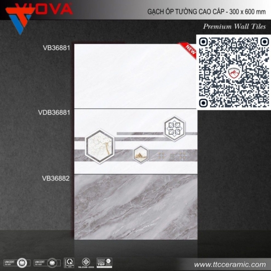 VB 36881